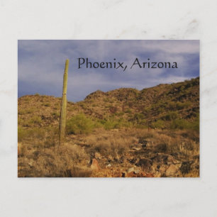 Stormtag in Phoenix Postkarte