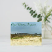Stormy Beach am Kap Charles, Virginia Postkarte (Stehend Vorderseite)
