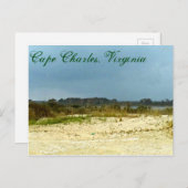 Stormy Beach am Kap Charles, Virginia Postkarte (Vorne/Hinten)