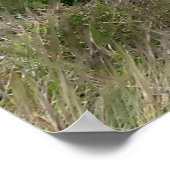 Stormy Beach Szene Poster (Ecke)