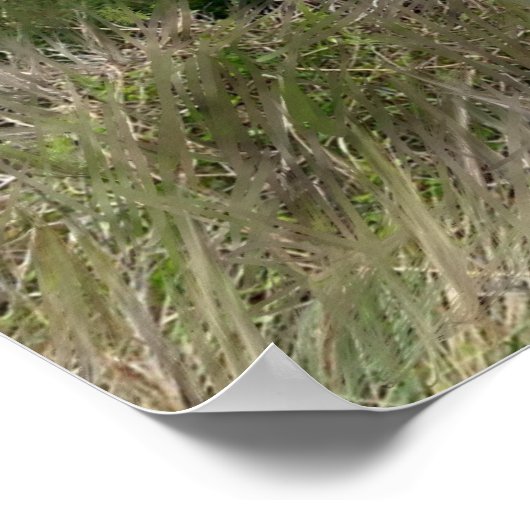 Stormy Beach Szene Poster (Ecke)