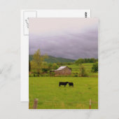 Stormy Day Postkarte (Vorne/Hinten)