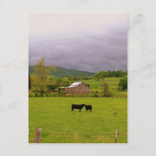 Stormy Day Postkarte