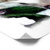 Stormy des Igels Poster (Ecke)