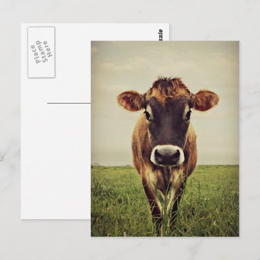 Stormy Postkarte (Vorne/Hinten)