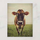 Stormy Postkarte (Vorderseite)