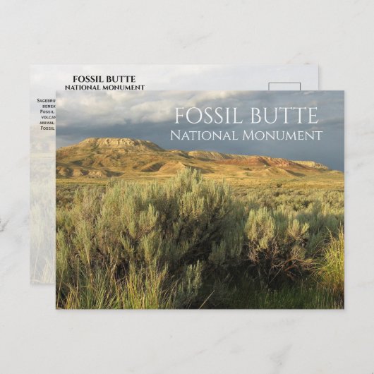 Stormy Sky Fossil Butte National Monument Wyoming Postkarte (Vorne/Hinten)
