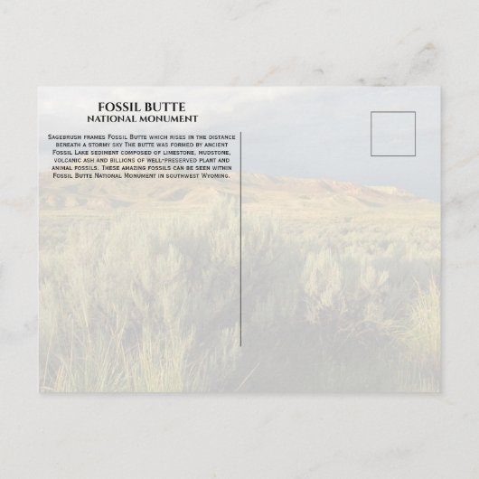 Stormy Sky Fossil Butte National Monument Wyoming Postkarte (Rückseite)