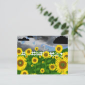 Stormy Sonnenblumen mit White Picket Fence Postcar Postkarte (Stehend Vorderseite)