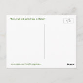 Stormy weather florida Postcard Postkarte (Rückseite)