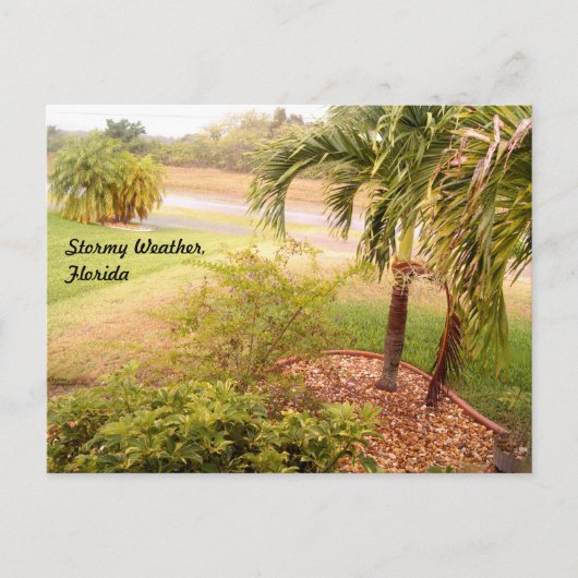 Stormy weather florida Postcard Postkarte (Vorderseite)