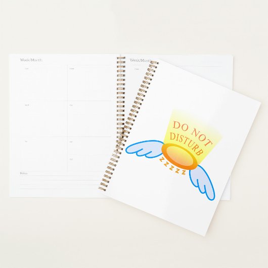 Störungen des Ruhezustands im Flug von Halo und Fl Planer