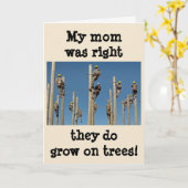 Störungssucher wachsen auf Bäumen Karte (Gelbe Blume)