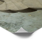 Story Gourd Poster - Neck (Ecke)