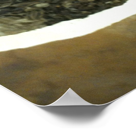 Story Gourd Poster - Workshop— Saatgut (Ecke)