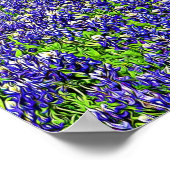 Storybook Bluebonnet Blume Fotografie Poster (Ecke)