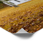 Storys Creek School Poster (Ecke)