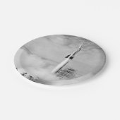 Stoßdämpfer 2 pappteller (Schrägansicht)