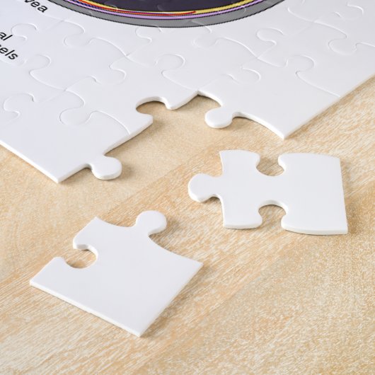 Stoßen Sie mich nicht im (Augen-Anatomie-) Spaß Puzzle (Seite)