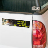Stoßfängerkatze ist kein führender Hund Autoaufkleber (Auf Lkw)