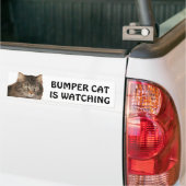 Stoßkatze passt auf autoaufkleber (Auf Lkw)