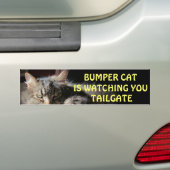 Stoßkatze passt HECKKLAPPE 15 auf Autoaufkleber (Auf Auto)