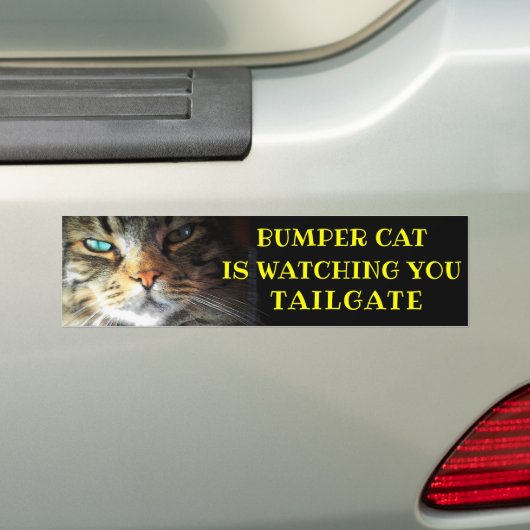 Stoßkatze passt HECKKLAPPE 41 Meme auf Autoaufkleber (Auf Auto)