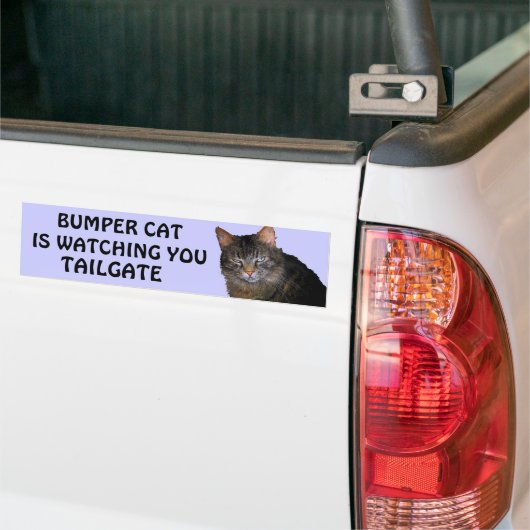 Stoßkatze passt Sie HECKKLAPPE 10 auf Autoaufkleber (Auf Lkw)