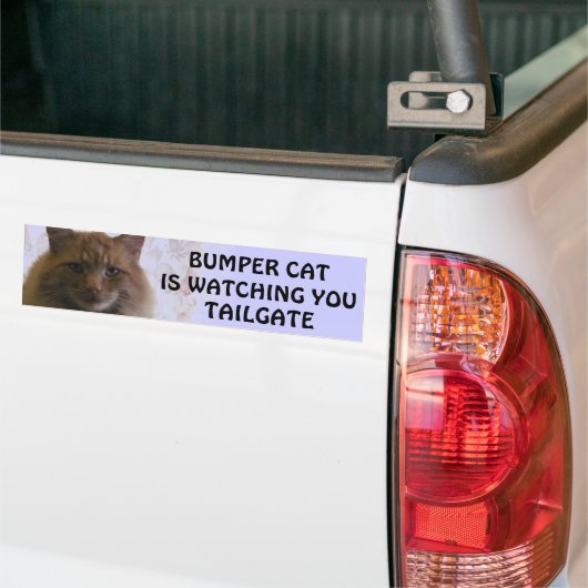 Stoßkatze passt Sie HECKKLAPPE 11 auf Autoaufkleber (Auf Lkw)
