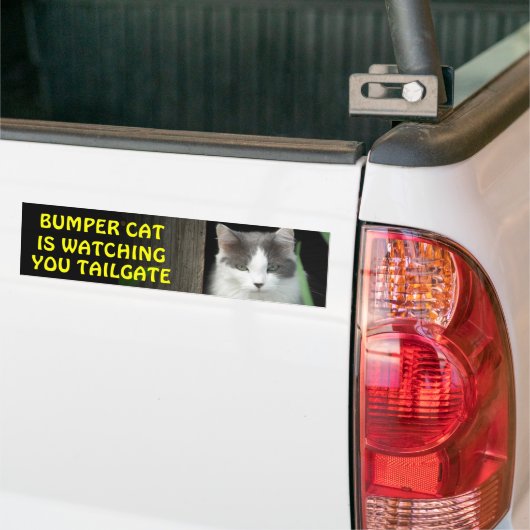 Stoßkatze passt Sie HECKKLAPPE 4 auf Autoaufkleber (Auf Lkw)