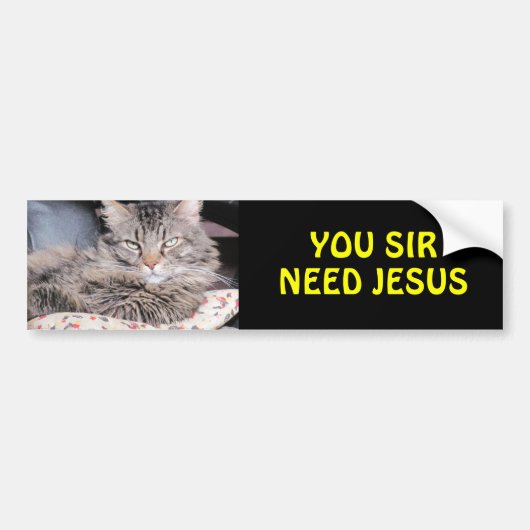 Stoßkatze sagt, Sie Sir Need Jesus Autoaufkleber (Vorne)