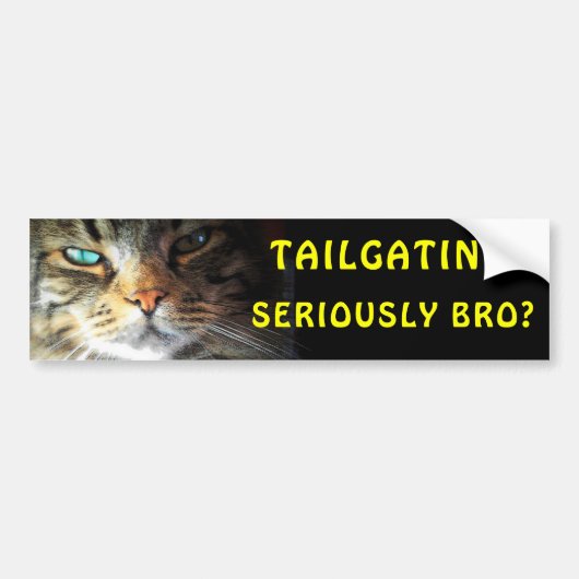 Stoßkatze: Tailgating? Ernsthaft Bro? Meme Autoaufkleber (Vorne)