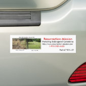 StoßSticker~Resurrection Auftrag Autoaufkleber (Auf Auto)