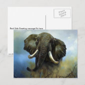 Stoßzähne, Elefanten Postkarte (Vorne/Hinten)