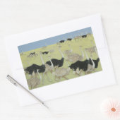 Stoßzeit Rechteckiger Aufkleber (Umschlag)