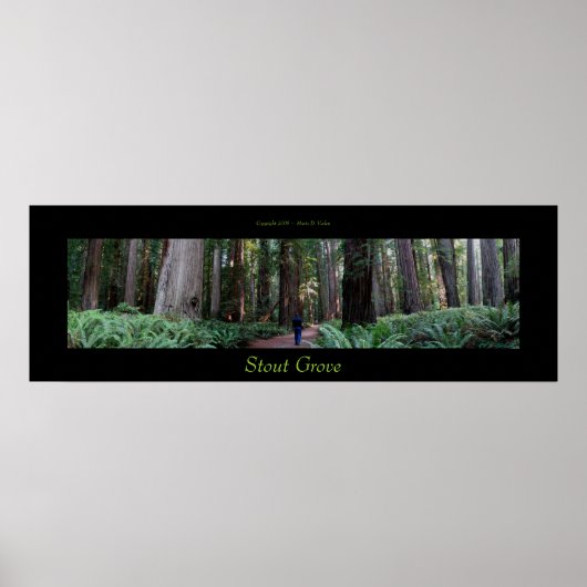 Stout Grove Redwood Trees Poster (Vorne)