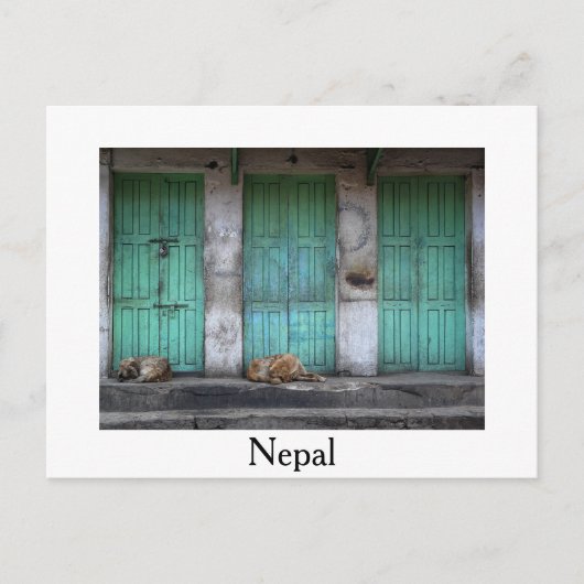 Straffe Hunde an den grünen Türen weiße Postkarte (Vorderseite)