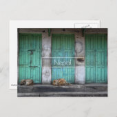Straffe Hunde vor grünen Türen in Nepal Postkarte (Vorne/Hinten)