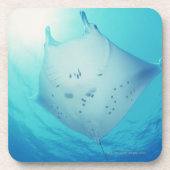 Strahl Getränkeuntersetzer (Vorderseite)