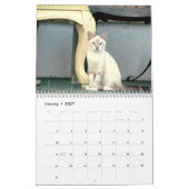 Strahl-Kalender Kalender (Jan 2027)
