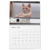 Strahl-Kalender Kalender (Feb 2027)