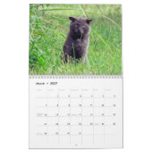 Strahl-Kalender Kalender (Mär 2027)