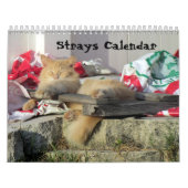 Strahl-Kalender Kalender (Titelbild)