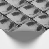 Strahl ~ Packpapier des Kasten-X (Ecke)