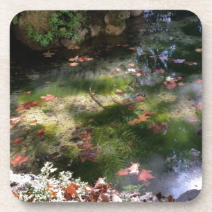 Strahlen und Blätter auf Wasser Getränkeuntersetzer