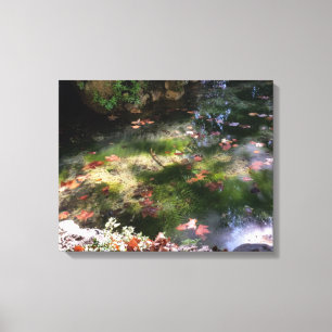 Strahlen und Blätter auf Wasser Leinwanddruck