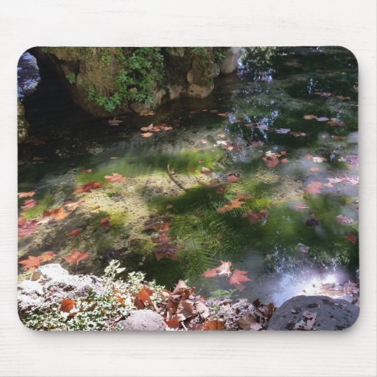 Strahlen und Blätter auf Wasser Mousepad (Vorne)