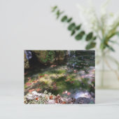 Strahlen und Blätter auf Wasser Postkarte (Stehend Vorderseite)