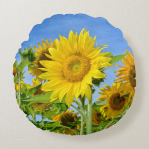 Strahlend gelbe Sonnenblumen Rundes Kissen