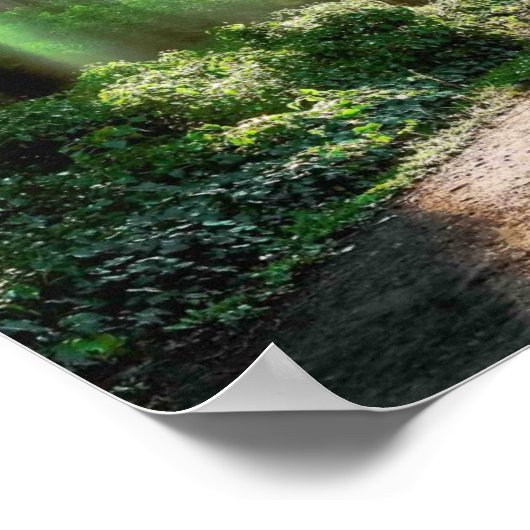 strahlend poster (Ecke)